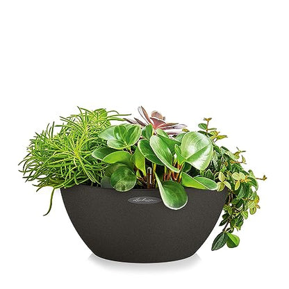 Lechuza Self Watering Plant Pot CUBETO Stone 40 Garden Flower Indoor and Outdoor Plastic Planter with Drainage Hole D40 H18 cm Graphite Black