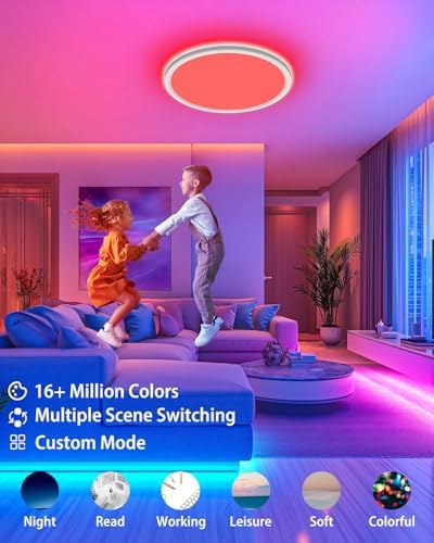 Peasur Smart RGB LED Ceiling Light Dimmable, 24W 3000K-6500K Bathroom Light 16 Million Colors Changing with Remote and APP Control, 30CM Ceiling Lamps for Bedroom, Living Room, Kitchen