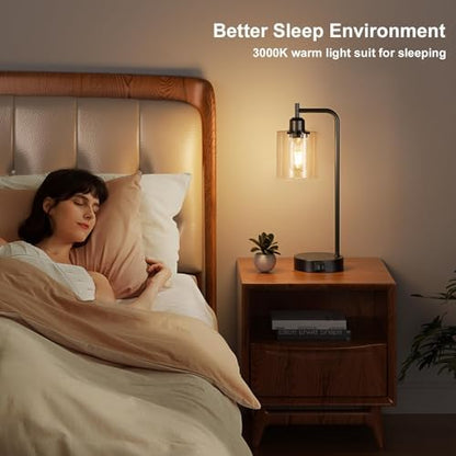 Aooshine Bedside Lamps Set of 2, Industrial Touch Lamps Bedside with USB C+A Charging Ports, Bedside Table Lamps for Bedroom, Black Bedside Lamps with Clear Glass Shade for Living Room(Bulbs Included)