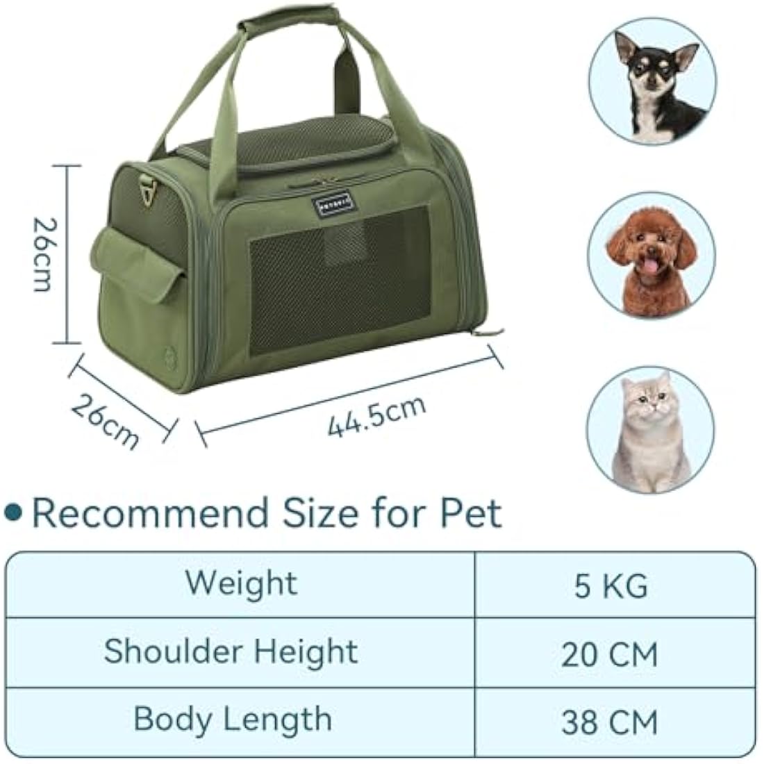 Petsfit Cat Carrier Large,Small Dog Travel Carrier with Soft Expandable Mat, Airline Approved Collapsible Transport Bag with Ventilation Quadrangle Oxford Fabric, Portable Cat Bag, Green