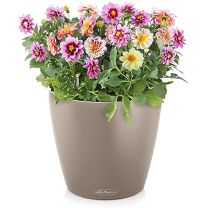 Lechuza CLASSICO Color 60 Self Watering Planter Large Garden Plastic Indoor and Outdoor Flower Plant Pot with Drainage Hole D60 H55.5 cm Sand Brown