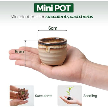 T4U Small Ceramic Succulent Pots with Drainage Set of 6, Mini Pots for Plants, Tiny Porcelain Planter, Air Plant Flower Pots Cactus Faux Plants Containers, Home and Office Decor