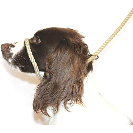Dog & Field Figure 8 Anti-Pull Lead/Halter/Head Collar/Harness (Natural)