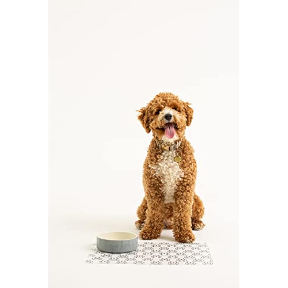 Mason Cash Colour Mix Grey Stoneware Dog Bowl, 15 cm
