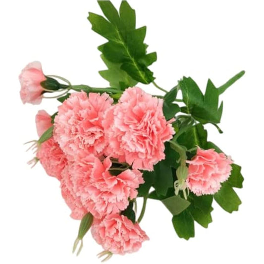 Corkwaw 40 Heads Artificial Carnations,Silk Hydrangea Bouquet Decoration Plastic Plant Suitable for Photo Props Family Party Home Decoration Bridal Wedding Bouquet Decoration (Pink)