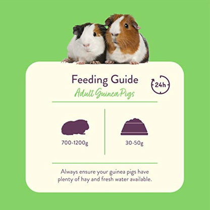 Burgess Excel Guinea Pig Nuggets with Mint 2kg