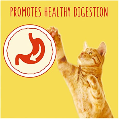 GO-CAT Adult Chicken and Duck Dry Cat Food 4kg, Pack of 2