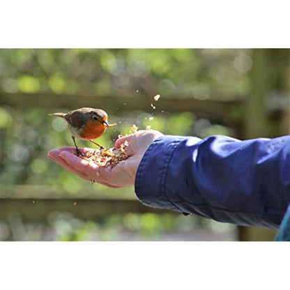 Extra Select Dried Mealworms for Wild Birds: Protein Rich Wild Bird Food for Robins to Hedgehogs - Meal Worms for Garden Birds - 5 Litre Tub