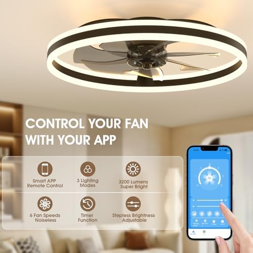 NIORSUN Ceiling Fans with Lights and Remote, 60cm Modern Smart LED Ceiling Fan Light, 6 Speeds and 3000K-6500K Dimmable Quiet Fan Lights Ceiling for Bedroom Living Room Dining Room (Black)