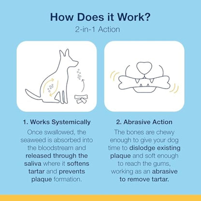 ProDen PlaqueOff 13 Dental Bones for Medium & Large Dogs, Tartar, Plaque & Bad Breath Remover, Improves Overall Oral Health Flavour (Vegetable Fusion)