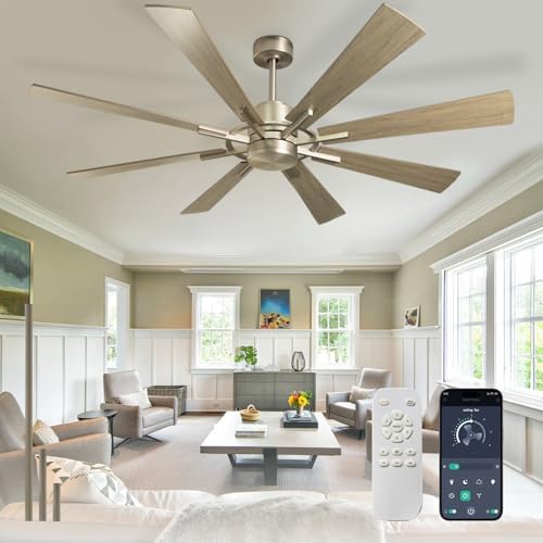 Depuley Ceiling Fan Without Light: 60 Inch Big Fan with Remote Control for Patio Porch - Grainy Fan for Indoor - Large Farmhouse Fan Reversible 8 Blade Quiet DC Motor