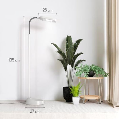 Kenley Daylight Lamp - Reading Light Floor Standing - Natural Bright Sunlight - Energy Saving Bulb for True Colours - Sturdy & Easy to Assemble - Standard Craft Lamps for Living Room or Bedroom
