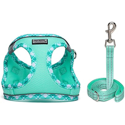 DORAMIO Step-in Dog Harness and Leash Set, Soft Mesh No-Chock Reflective Breathable Easy Walk Lightweight Vest Harnesses with Safety Buckle for Small Dogs, Cats, Puppies (Light Green, XL)