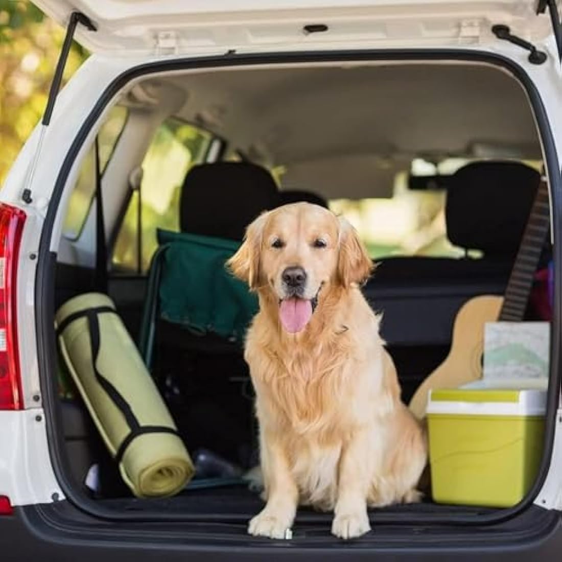 GoBuyer Waterproof Car Boot Liner Protector Covers for Dogs with Side Protection (BumplerFlap) + Headrest Strap