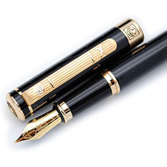 czxwyst Picasso 902 Gentleman Collection Fountain Pen Original Box (Gold clip)