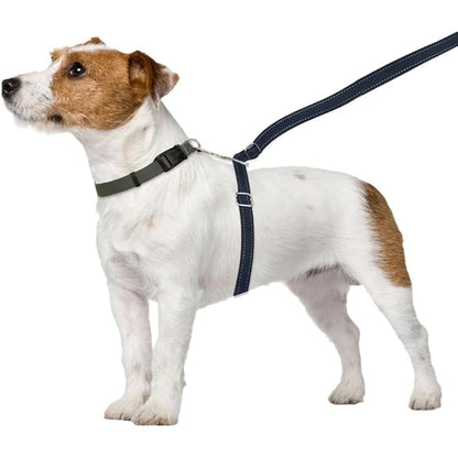 Thunder Leash, Large