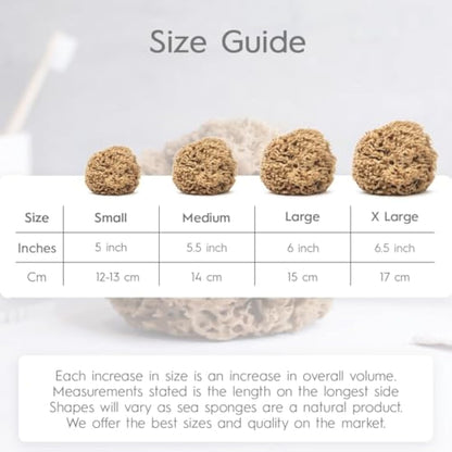 NAROA Natural Soft Honeycomb Sea Sponges for Shower in Gift Box | Gentle Sea Loofah for Healthy Skin | Smooth Body Puff Relaxing Bathing Men Women (Medium)