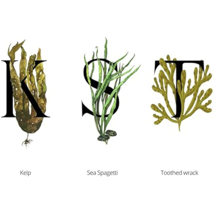 SEAWEED ORGANICS - Lower Seaweed Hydrating Cream, Organic Scottish Kelp, Toothed wrack, Sea spaghetti extract, Day cream, For sensitive Skin, Made in the UK, 50g, DIANA DRUMMOND