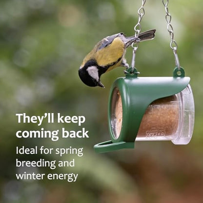 Peanut Butter for Birds - Jacobi Jayne Flutter Butter EcoRefills - Buggy Flavour Wild Bird Food - Ultra-Convenient Eco-Friendly Bird Feed - Pack of 12 Refills, Buggy