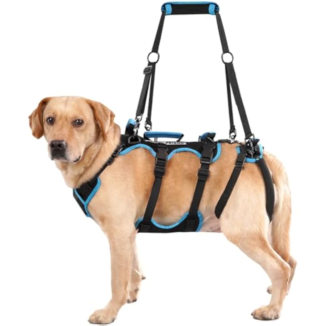 Lafoty Dog Lift Harness for Large Male Dogs, 2-in-1 Help Em Up Harness, Back Leg Support & Mobility Assistance for Senior Dogs, Post-Surgery Recovery Sling(Black, Large)