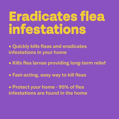 Bob Martin Clear Dual Action Flea Bomb for the Home - Kills Fleas Dead, Fast and Effective Household Treatment (1 Can)