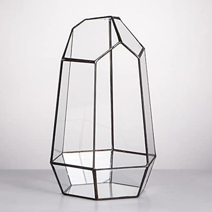 NCYP Opened Geometric Glass Terrarium for Succulent, Air Plants - 16.5 x 14.5 x 25 CM Irregular Glass Planter Pot - Indoor Garden Tabletop Decor, Black (No Plants, No Door)