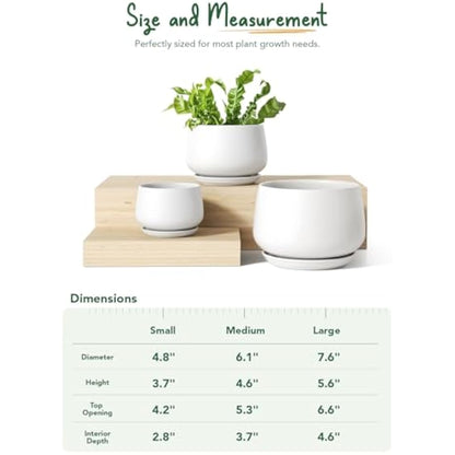 LE TAUCI Plant Pots, 10+13+16 cm Planters, Set of 3 Ceramic Planters with Drainage Hole and Saucer, Indoor Plant Pot with Hole Mesh Pad, Gifts for Mom, White