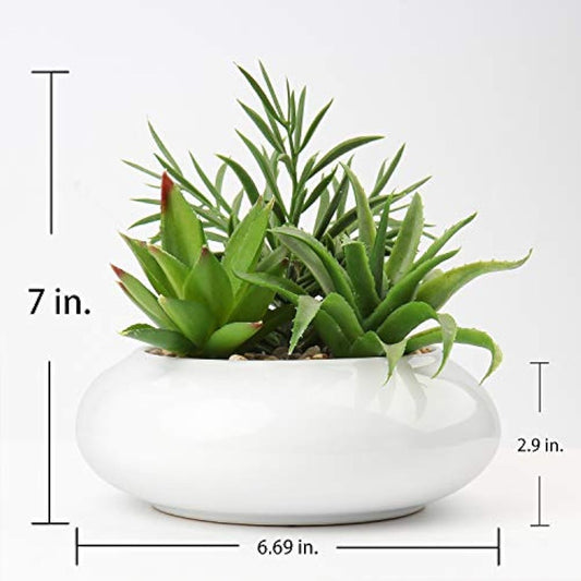 Briful Artificial Succulent Plants Fake Plants in Round Ceramic Pot Faux Potted Plant Fake Succulents Arrangement Artificial Plants Indoor for Office Desk Decor Decorative Home Accessories