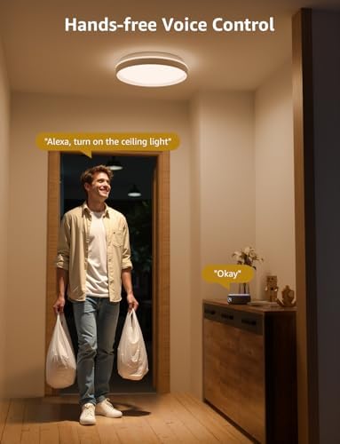 Lepro T1 AI Smart Ceiling Light 24W, Music Sync, Voice Control, AI Lighting Design Assistant, Waterproof Bathroom Light, DIY by Zone, Bluetooth&WiFi, Color Changing, Work with Alexa, Google Home, 29CM