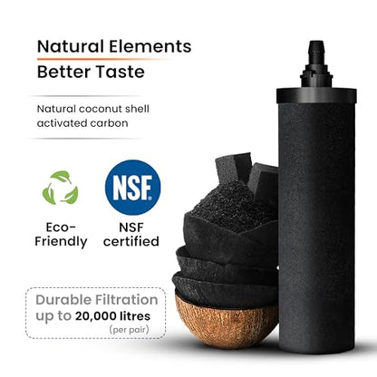 PHOENIX GRAVITY 8-Litre Stainless Steel Gravity Water Filter NSF Certified AISI 304 Countertop Water Filter System with 2 Smart (Black) Carbon Cartridges, Free Water Tap, No Power Or Plumbing Required