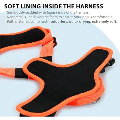 BullyBillows Active Light Dog Harness With Handle | Premium Padded Lining & Highly Reflective | Orange XSmall