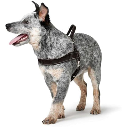 HUNTER Norwegian harness for Dogs Hunting, 50 x 69-93 cm, Black