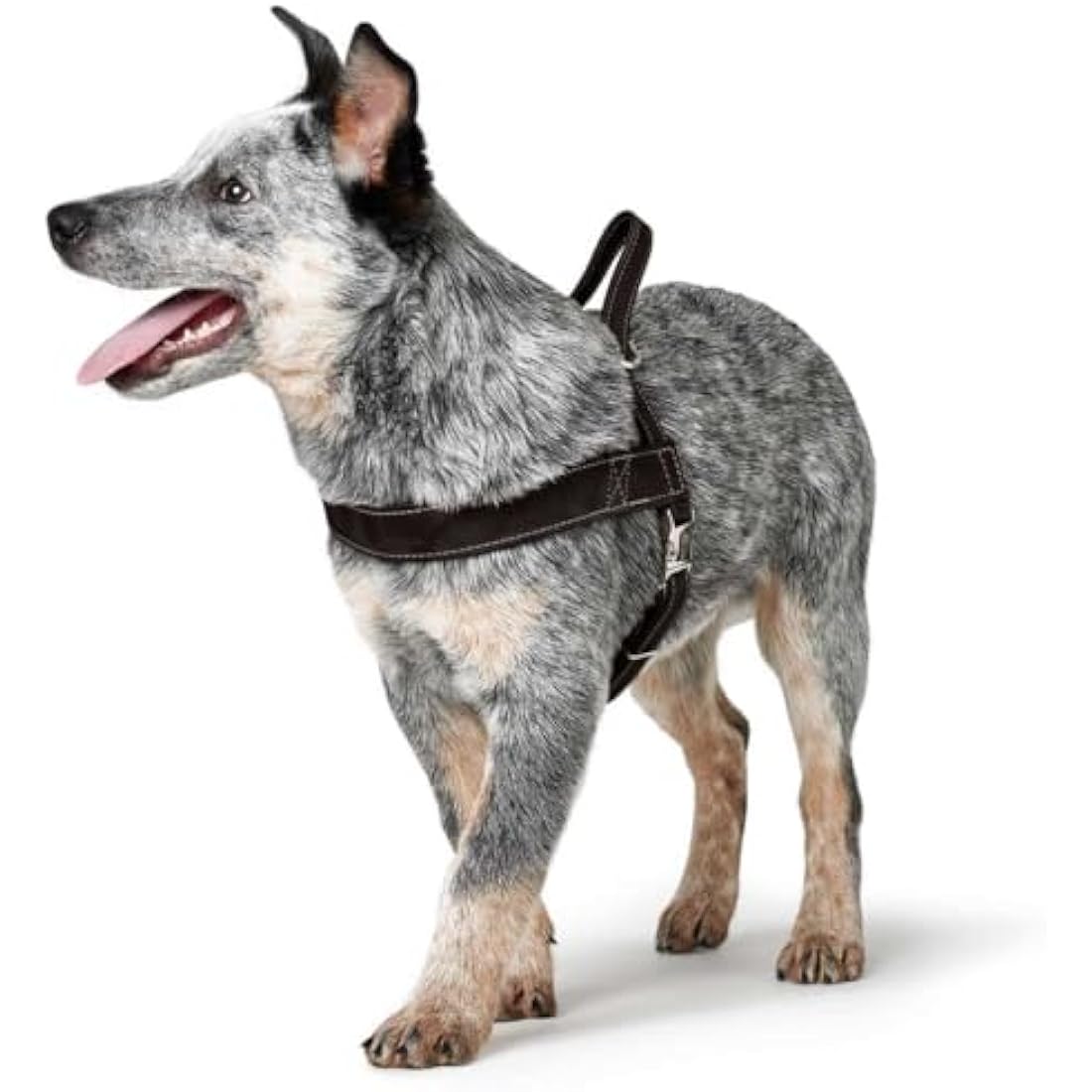 Hunter Norwegian harness for Dogs Hunting, 45 x 58-79 cm, Black