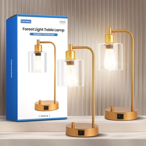 Homelist Gold Bedside Lamp Set of 2,Dimmable Industrial LED Table Lamps Nightstand Beside Reading Desk Lamp with USB Charging Port, Glass Shade for Bedroom Living Room Home Office,Gift for Friend