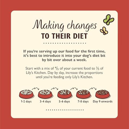 Lily's Kitchen Natural Adult Dog Food Wet Tins - Cottage Pie - Complete Meal Recipes (6 Tins x 400g)