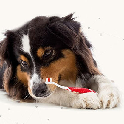 Beaphar | Toothbrush & Toothpaste Dental Care Kit | for Dogs & Cats | Includes A Double-Ended Toothbrush & Liver-Flavoured Enzymatic Toothpaste, 100g Tube, 2 Count (Pack of 1)