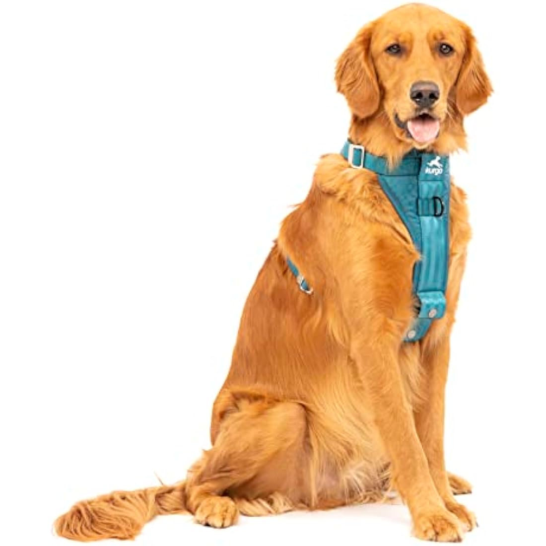 Kurgo, Enhanced Strength Tru-Fit Smart Harness for Dogs, Ink Blue, Extra Large
