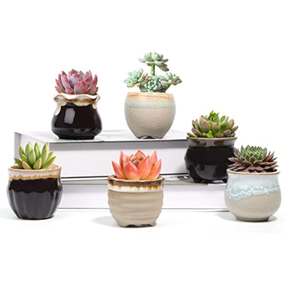 T4U Small Ceramic Succulent Pots with Drainage Set of 6, Mini Pots for Plants, Tiny Porcelain Planter, Air Plant Flower Pots Cactus Faux Plants Containers, Home and Office Decor