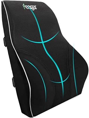 Feagar Lumbar Pillows Back Support Cushions Memory Foam Pillows for Car Seat Office Chair Home Sofa or Couch, Low Back Pillow Chair Cushions with