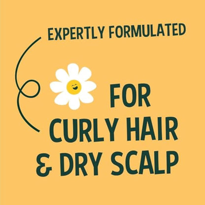 Faith In Nature Natural Shea & Argan Shampoo, Moisturising for Curly Hair & Dry Scalp, Vegan & Cruelty Free, No SLS, Silicones or Parabens, 5L Refill Pack