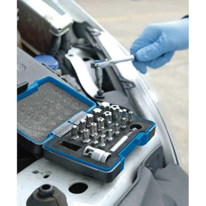 Draper 23241 Expert TX-Star Plus Insert Bit Set, 1/4"-3/8" Square Drive, 23 Pcs , Blue