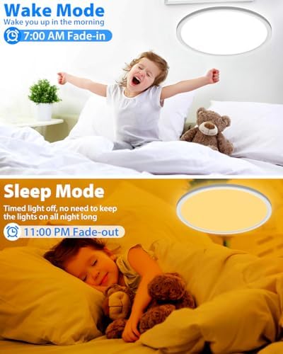 Peasur Smart RGB LED Ceiling Light Dimmable, 24W 3000K-6500K Bathroom Light 16 Million Colors Changing with Remote and APP Control, 30CM Ceiling Lamps for Bedroom, Living Room, Kitchen