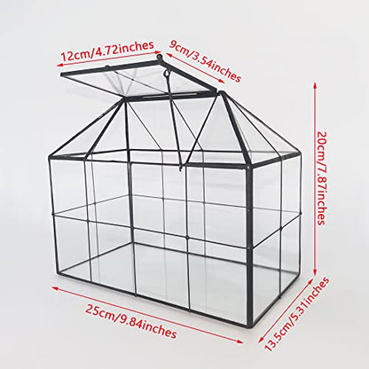 NCYP Geometric Glass Terrarium - 25x13.5x20 cm House Shape Terrarium Planter for Succulents, Cacti - Modern Home Indoor Tabletop Decor, Centerpiece,
