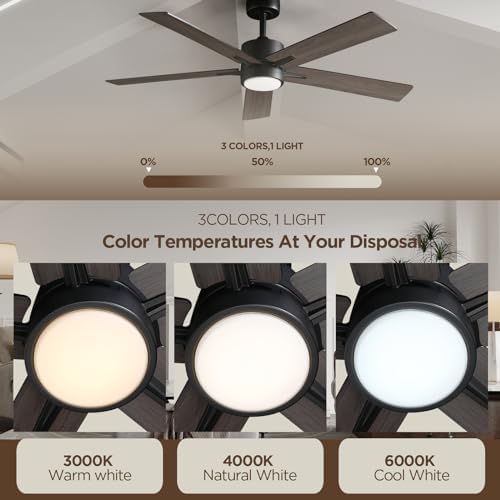Vagizm Ceiling Fan with Light for Bedroom: 52 inch Silent Ceiling Fans with dimmable Light - Remote Control - Reversible DC Motor - Black - 5 Blades - Suitable for Living Room Indoor Outdoor