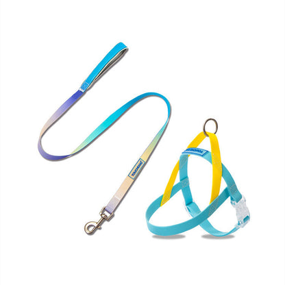 Pet PVC jelly gradient traction rope