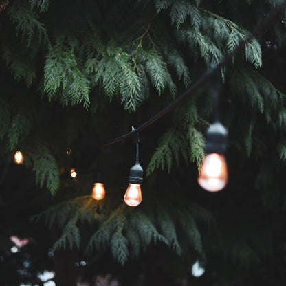 4lite Festoon Lighting Outdoor String Lamps with E27 Screw Warm White LED Bulbs