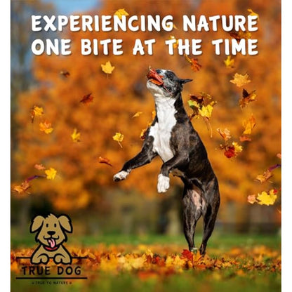 True Dog 100% Pure Scottish Salmon Oil 5ltr | Salmon Oil for Dogs & Cats, Omega 3, 6 & 9, Skin and Coat Health, Joint & Mobility Support