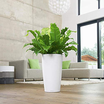 Lechuza RONDO 32 Self Watering Planter Large Plastic Indoor and Outdoor Plant Pot with Drainage Hole D32 H56 cm Charcoal Metallic