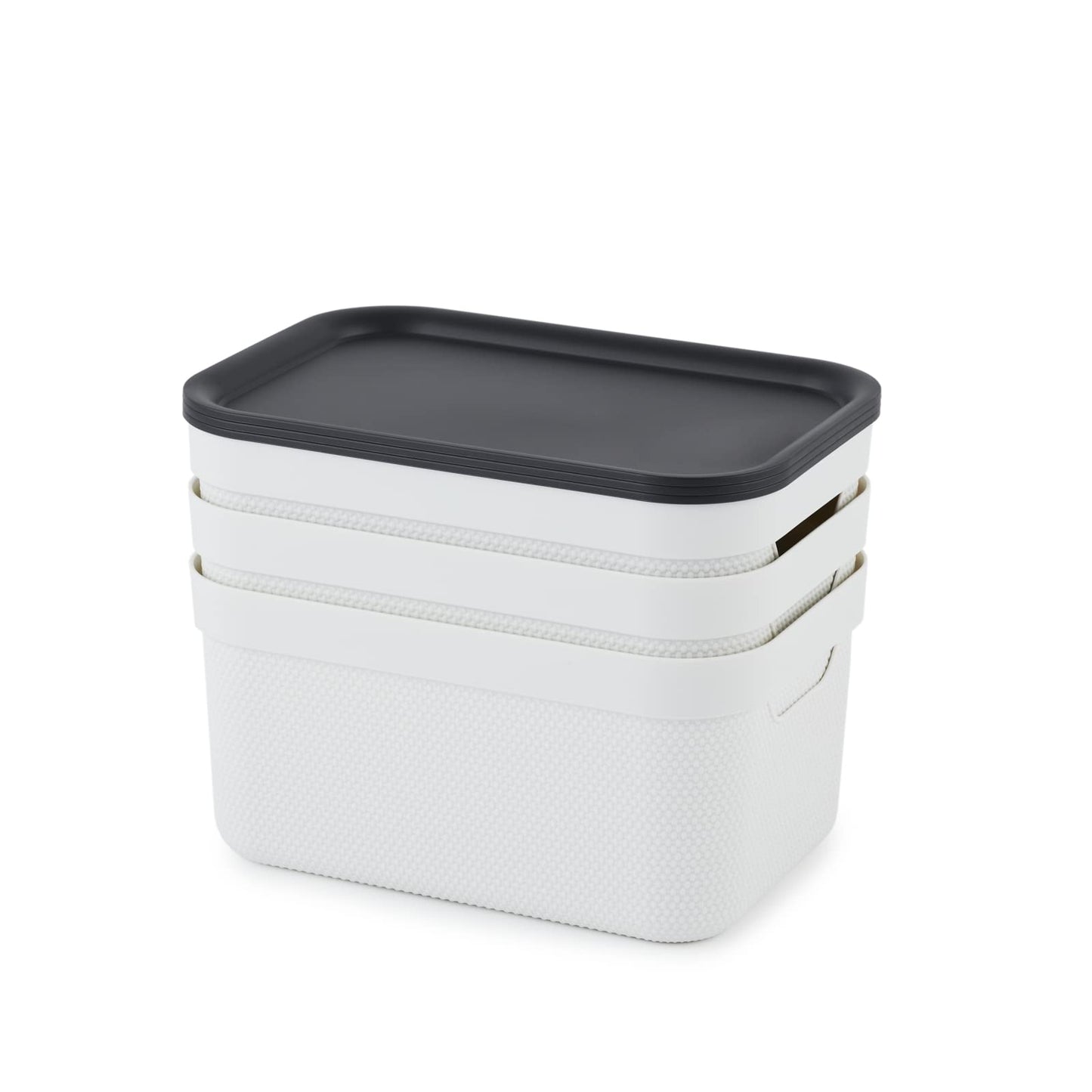 Rotho Jive Dekobox Set of 3 storage box 5l with lid, Plastic (PP recycled), white/anthracite, 3x5l (26.5 x 18.5 x 13.2 cm)