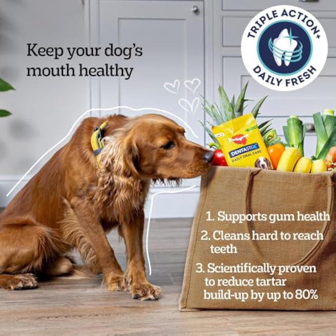 Pedigree Dentastix - Daily Fresh Dental Chews - Dog Treats for Small Dog - 70 Sticks (Pack of 10)